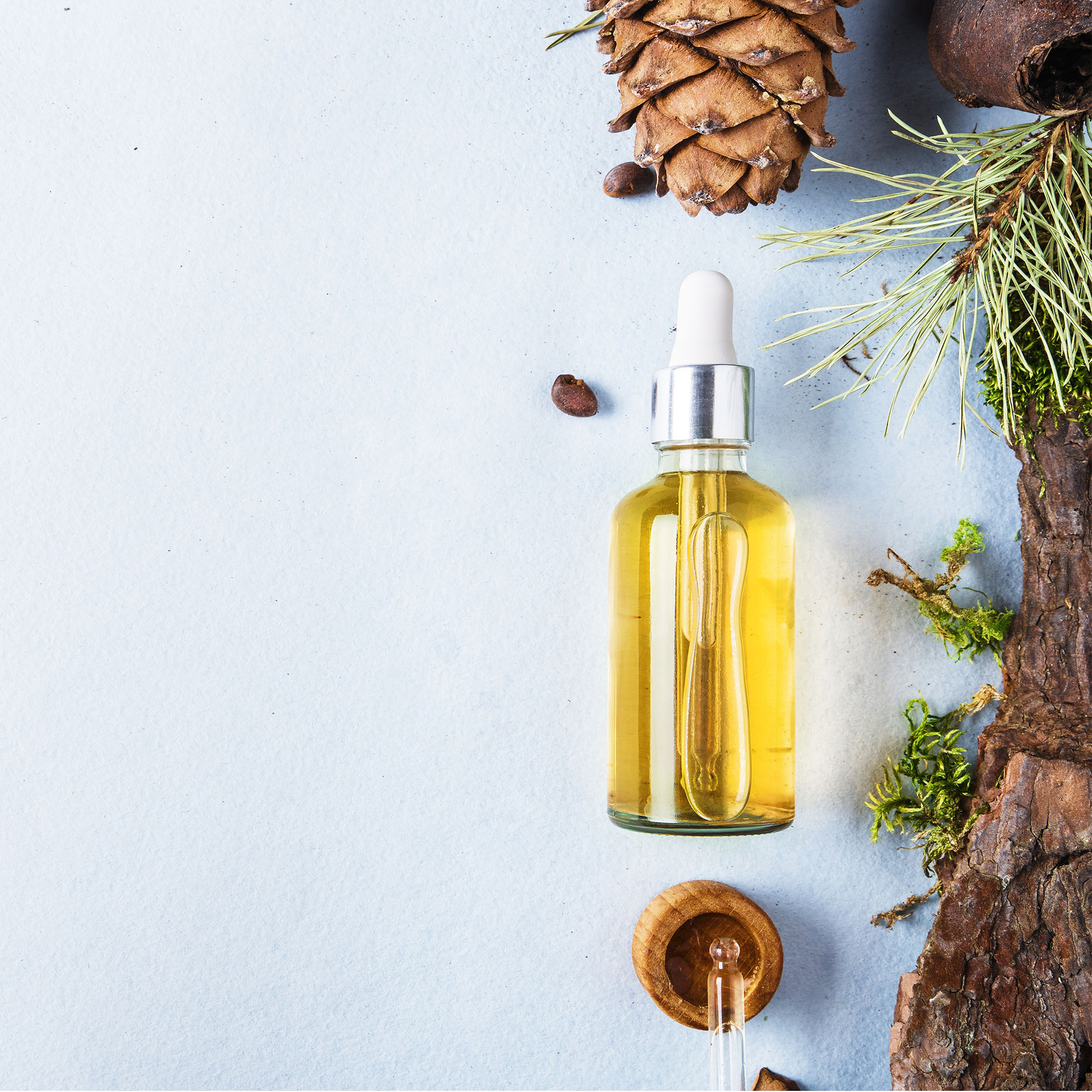 Sans titre 1Plan de travail 3