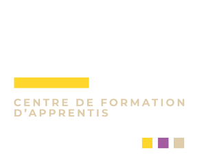 formation esthetique en alternance