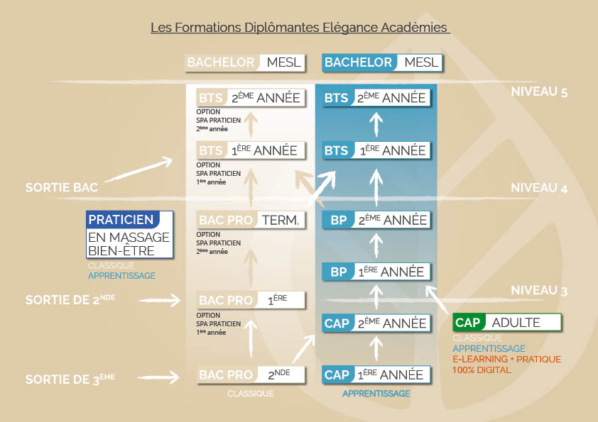 Organigramme Formations Diplomantes 2023 24