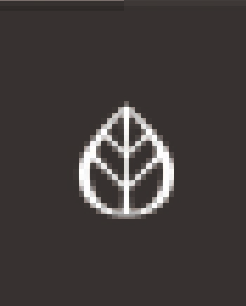 Consultation en Visio de création Spa/Institut