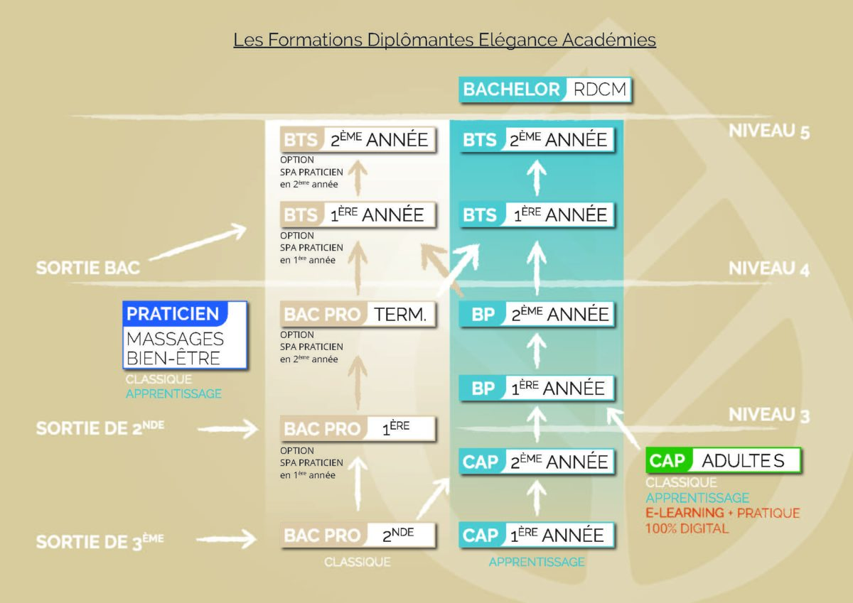 2025 Organigramme des Formations Diplomantes ELEGANCE ACADEMIES Page 1