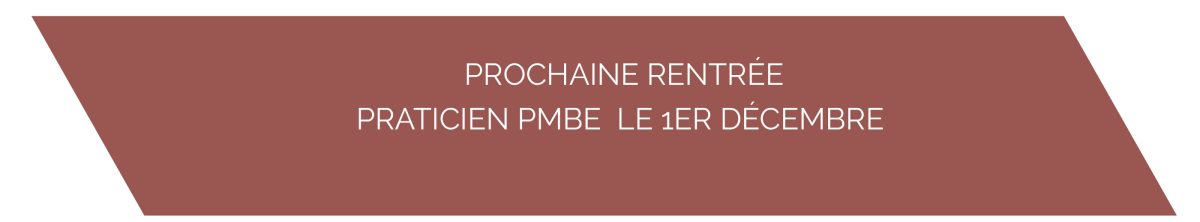 PMBE site rentree 1er dec