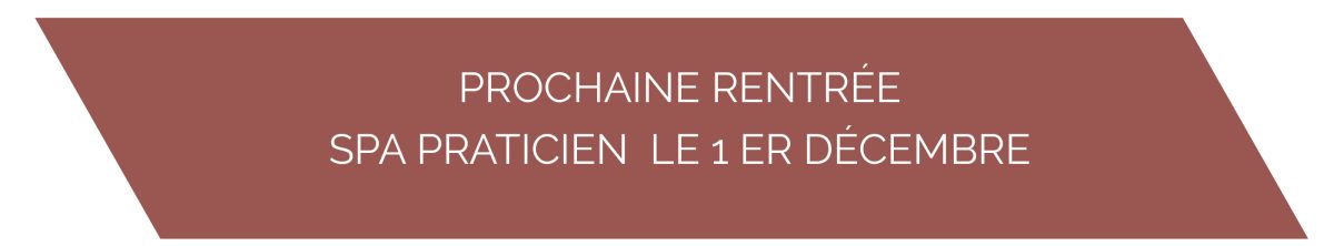 Spa prat site Recupere