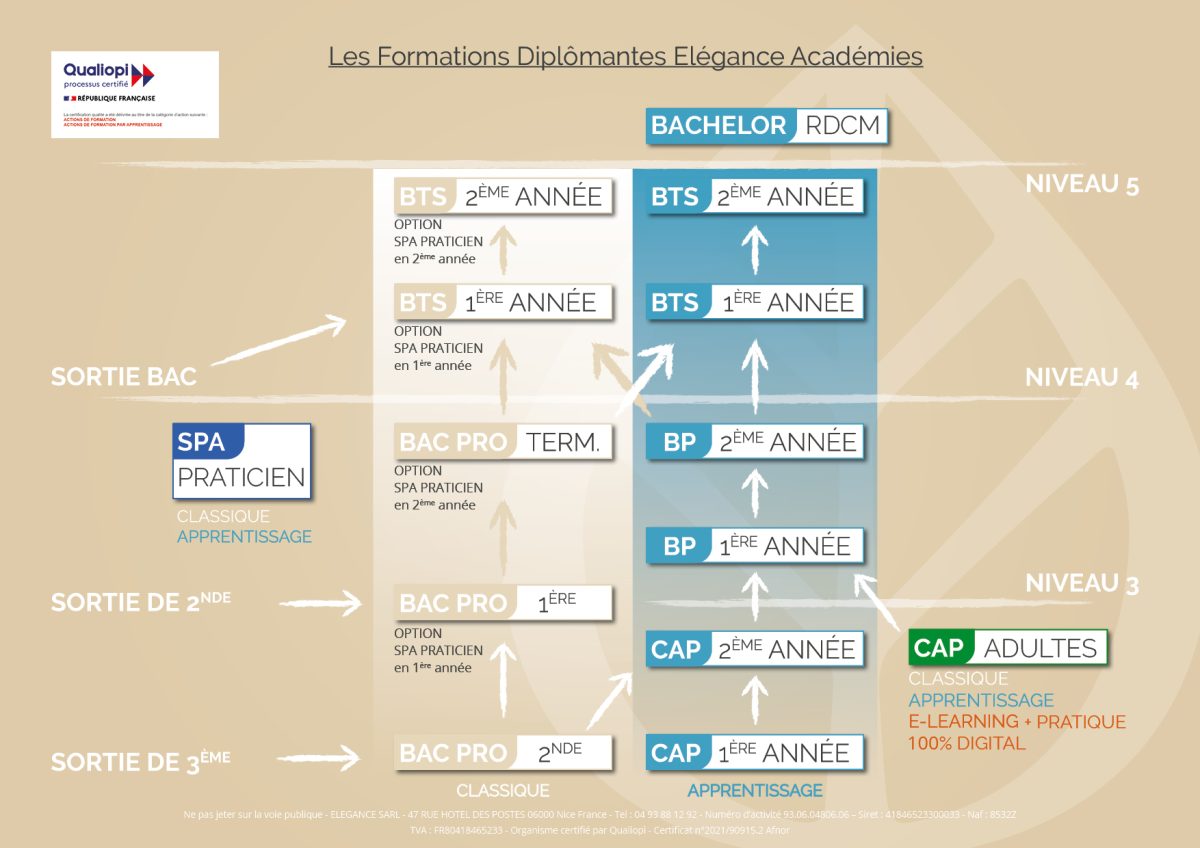 Organigramme Formations Diplomantes 2026