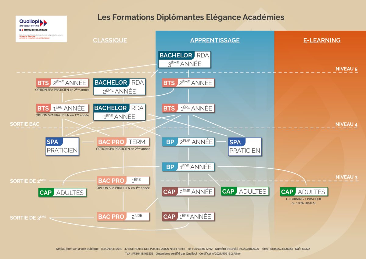 Organigramme Formations Diplomantes 2026